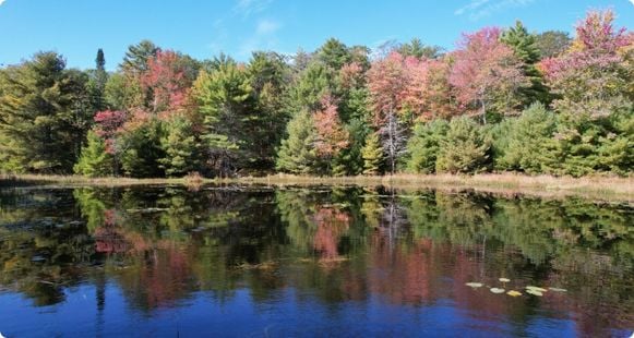 Hidden Valley Nature Center