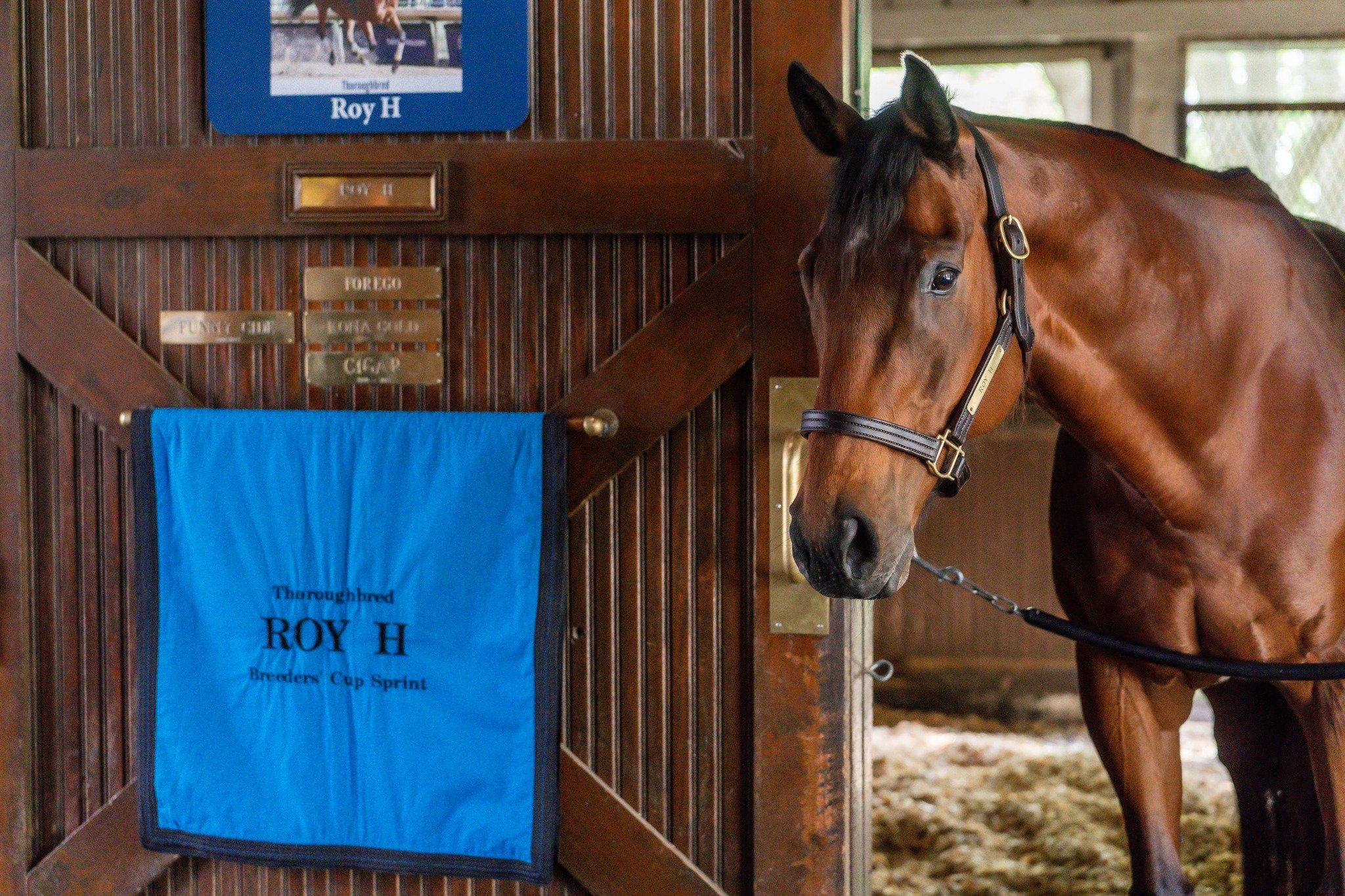 Kentucky Horse Park