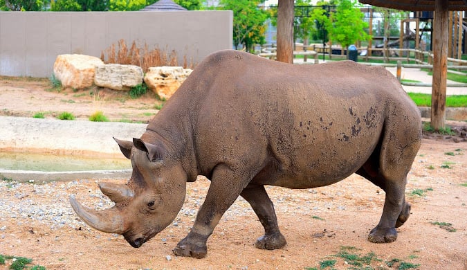 Tanganyika Wildlife Park
